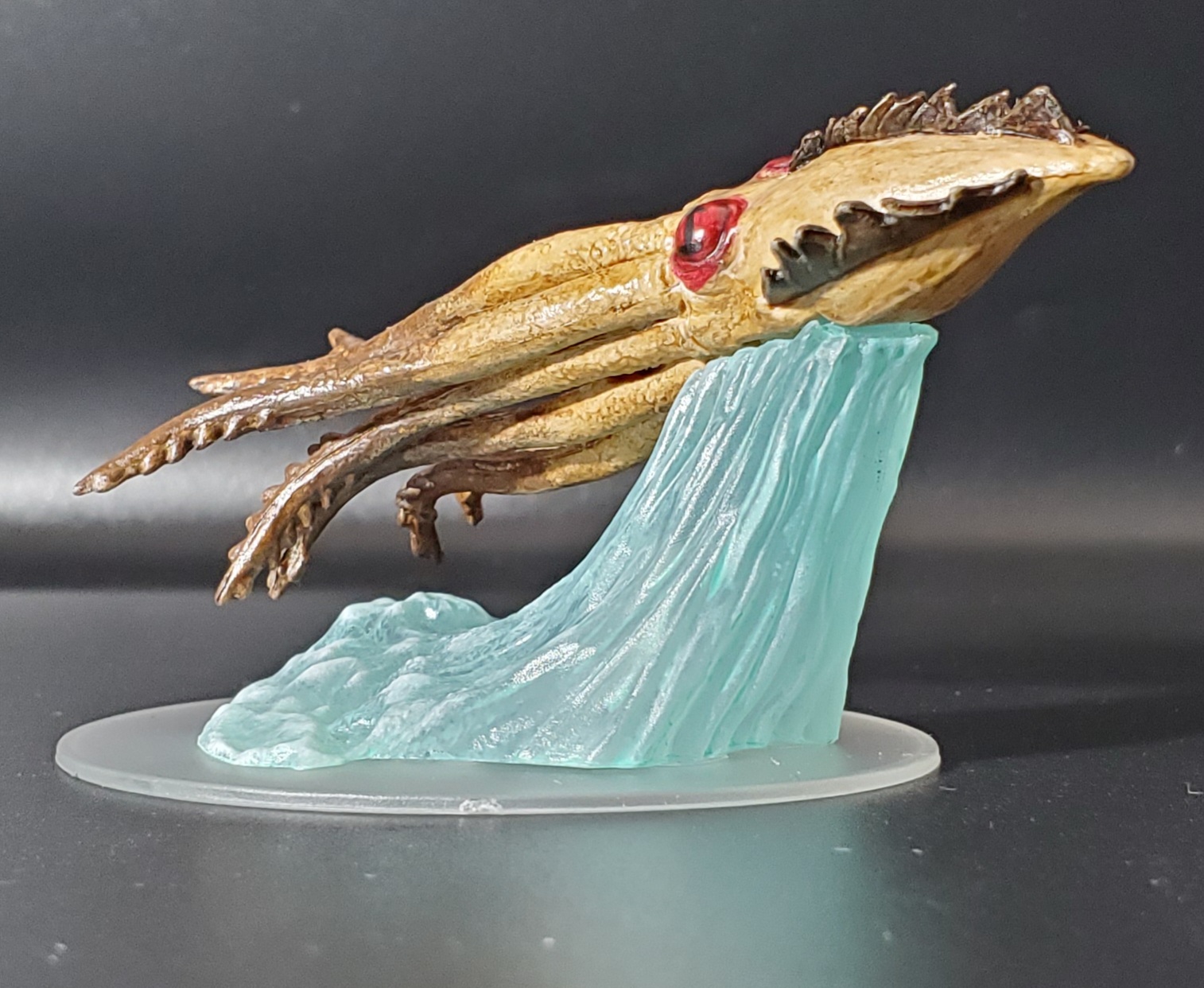 Juvenile Kraken